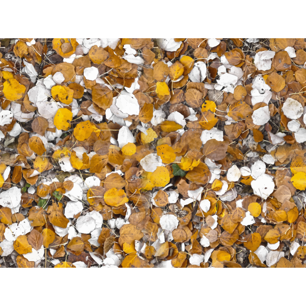 AutumnLeaves