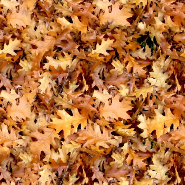 AutumnLeaves2