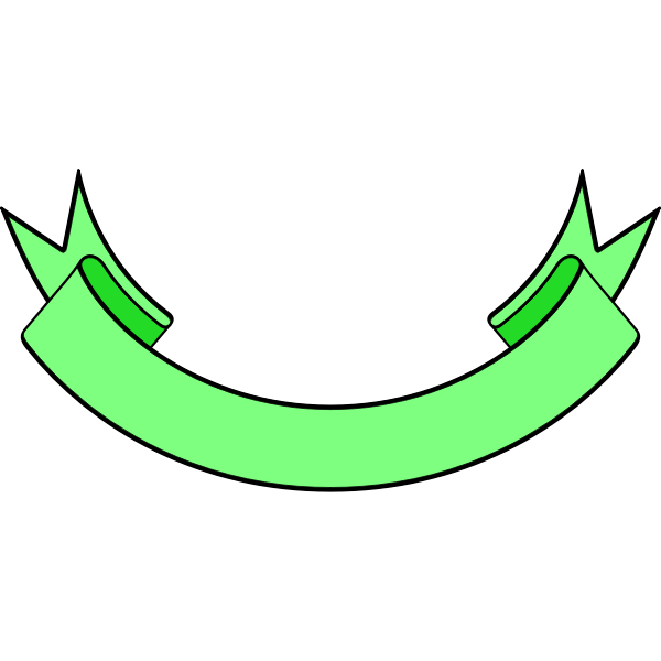 Green outlined banner