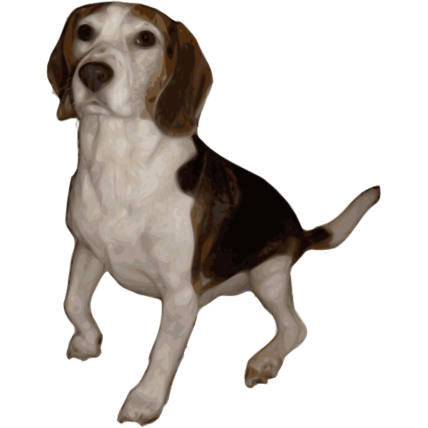 Beagle Small Version