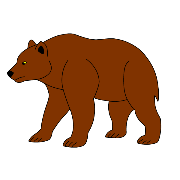 Bear 20