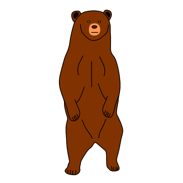 Bear 24