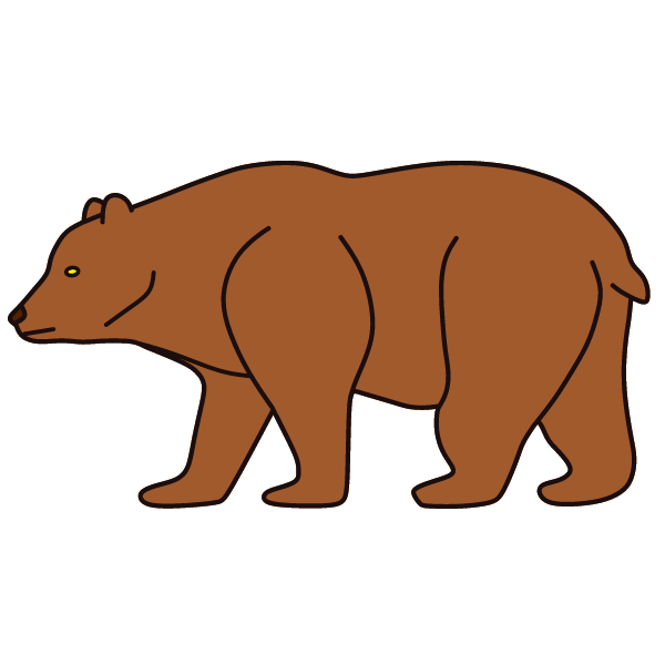 Bear 25