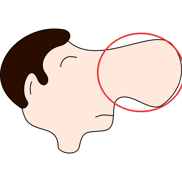 Nose-1574177051