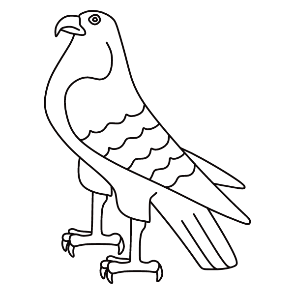 Bird 37