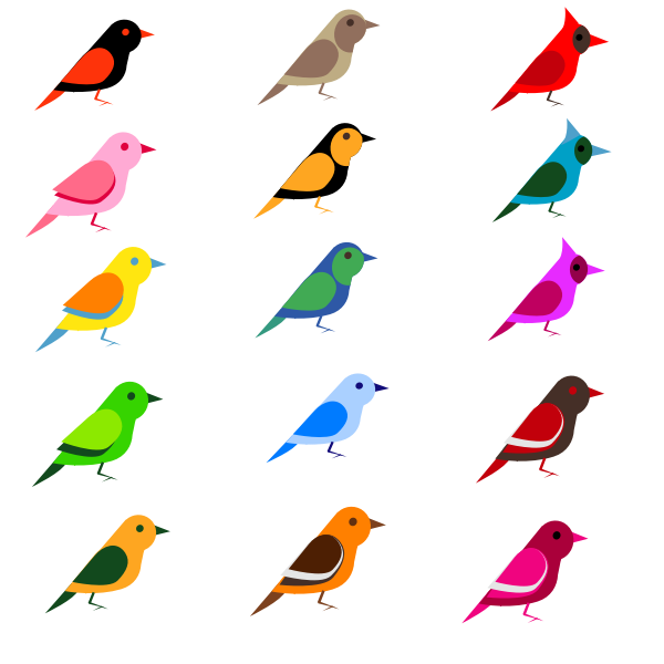 Diverse birds