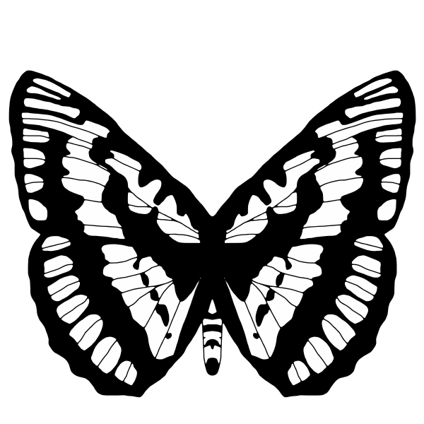 Black And White Butterfly 2