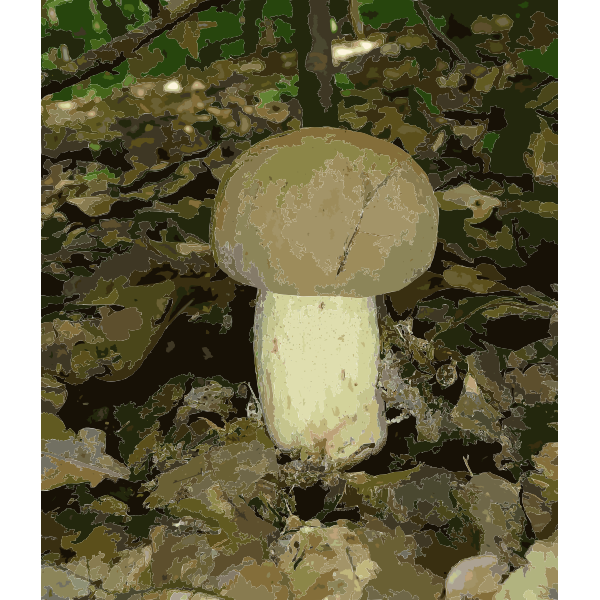 Boletus impolitus 2010 G2 2016122045