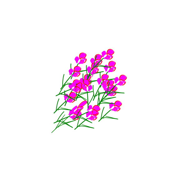 Botanical 2015120941