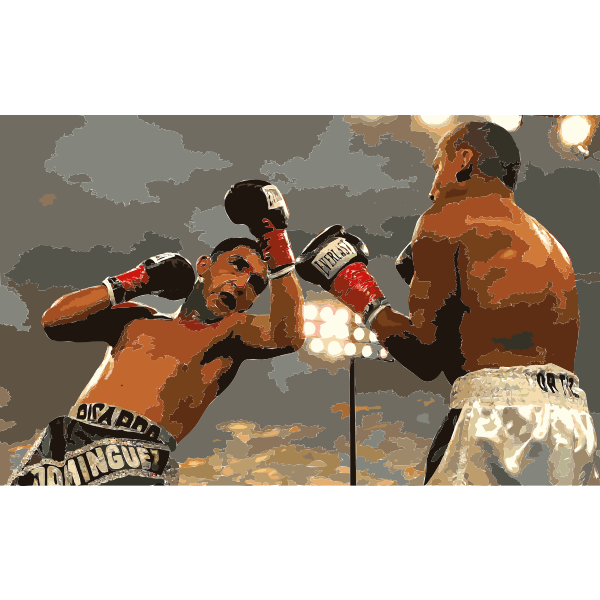 Boxing080905 photoshop 2016052856