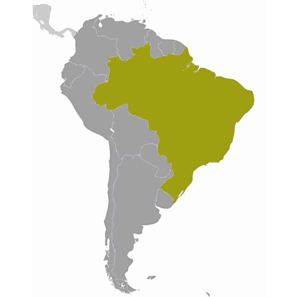 Brazil location map vector drawing