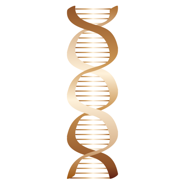 Bronze DNA icon