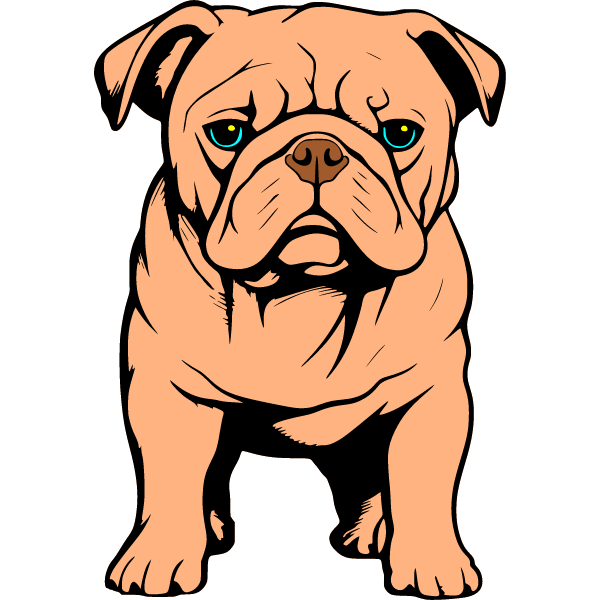 Bulldog-1721739709