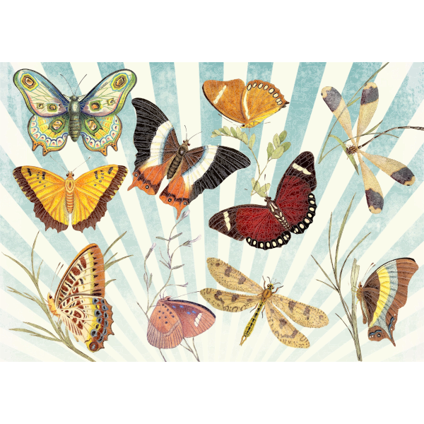 Butterflies and dragonflies