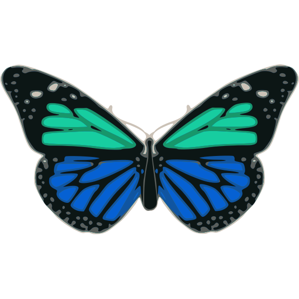 Butterfly 02 Turquoise Blue