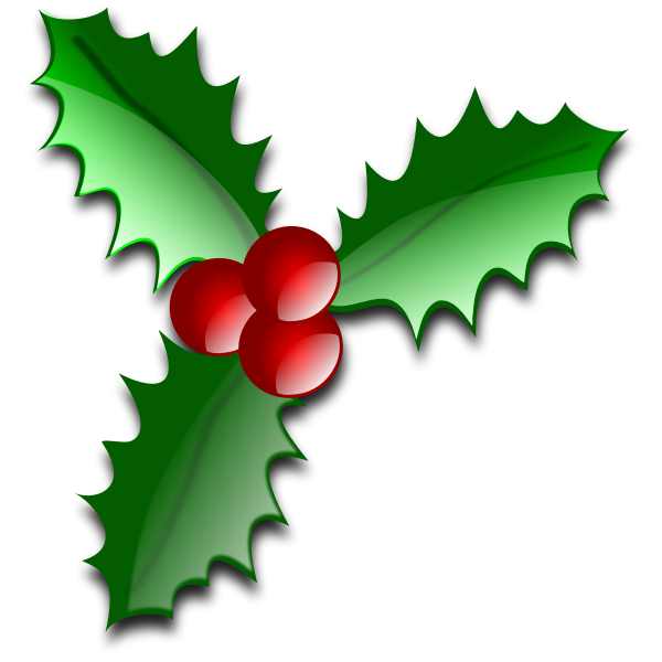 Christmas flower decoration