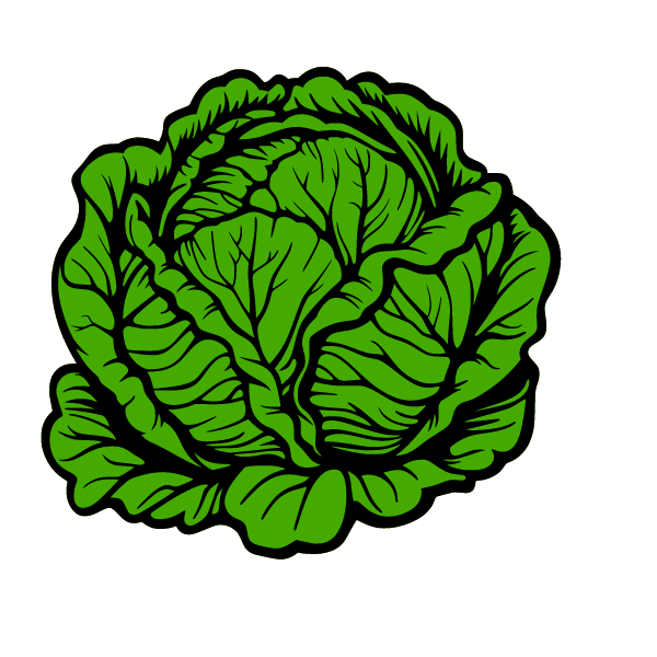 Cabbage-1722055339