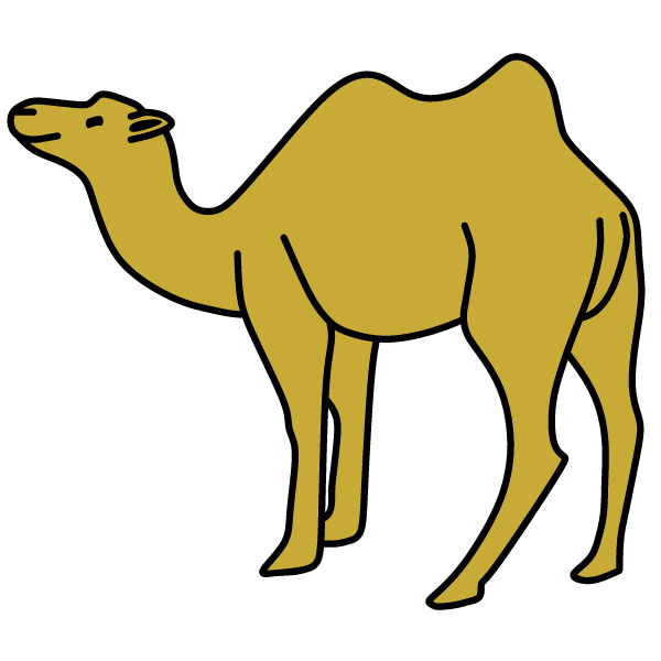 Camel 2