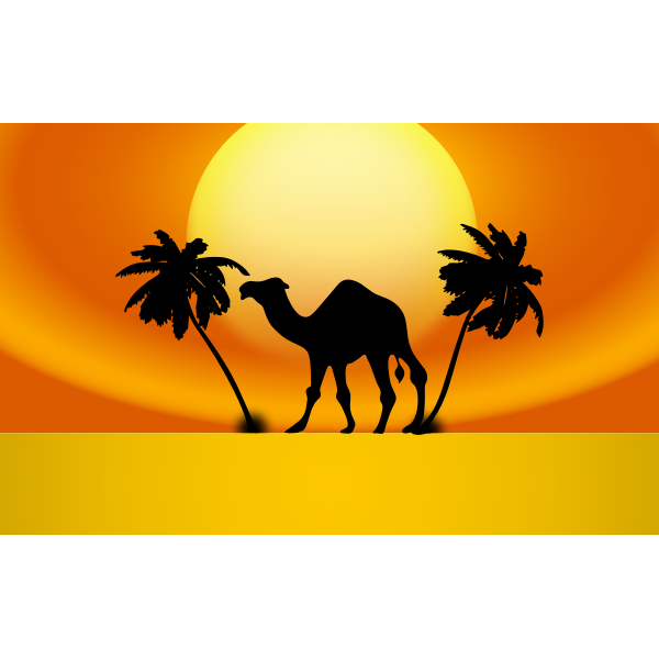 Camel Sunset