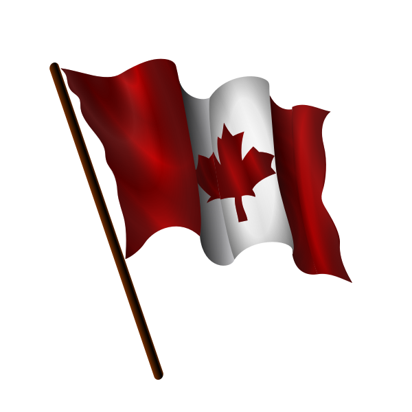 Waving Canadian flag vector image