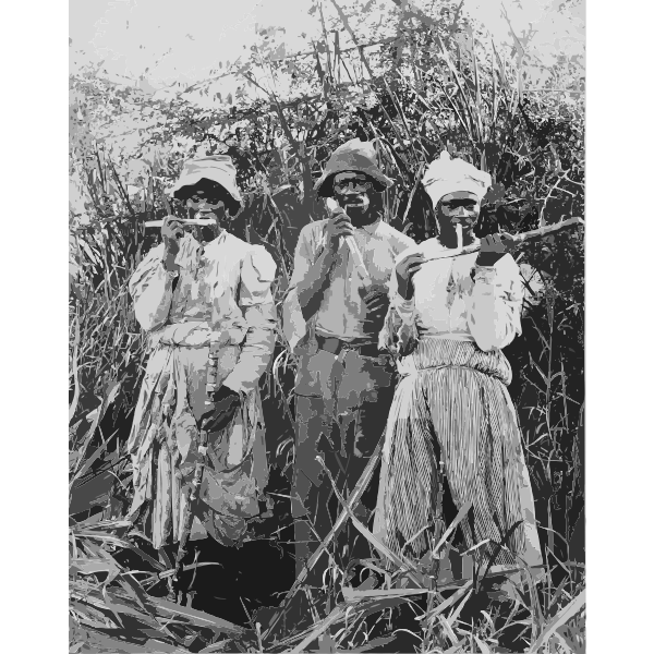 Cane cutters in Jamaica 2016122155