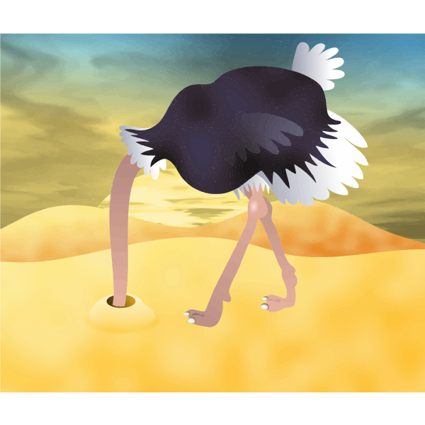 Ostrich