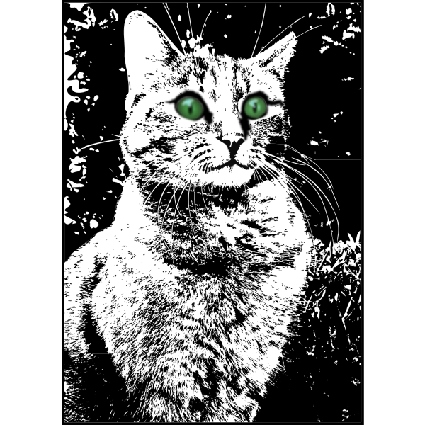 Cat with green eyes