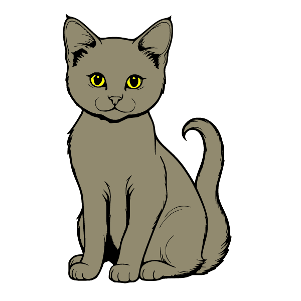 Cat 11
