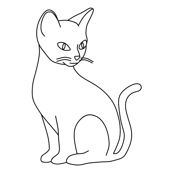 Cat 20