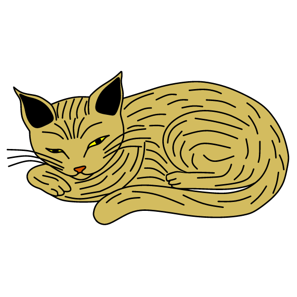 Cat 6