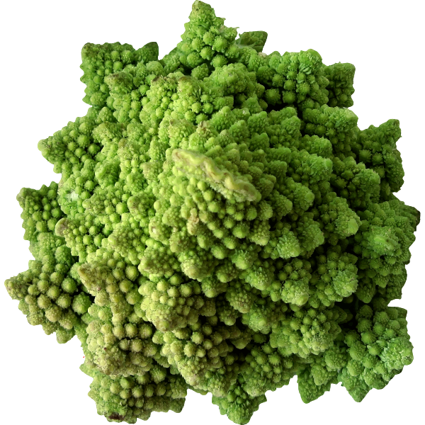 Cauliflower2