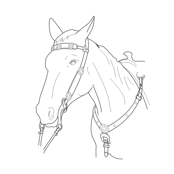 Vector illustration of horse head with lead