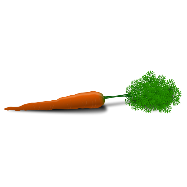 Vector image of a carrot