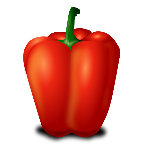 Capsicum fruit vector image