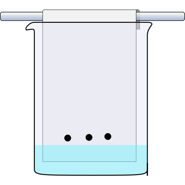 Chromatography Start