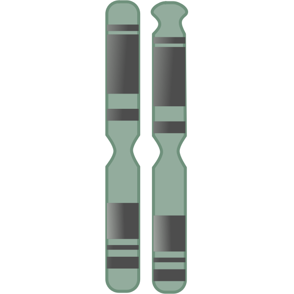 Chromosome