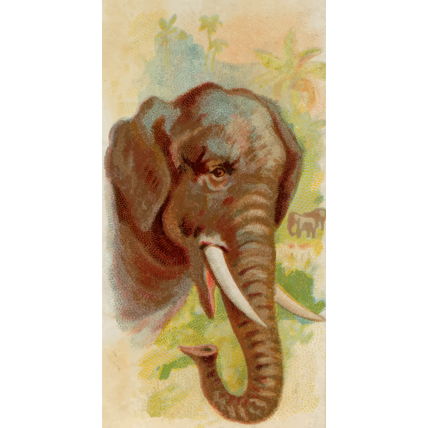 Elephant illustration