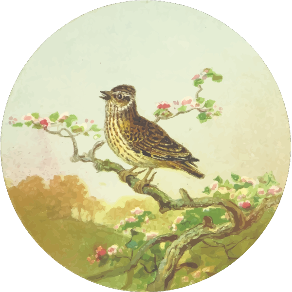 CircularWoodlark