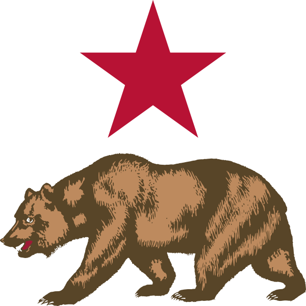 Vector image of bear and star