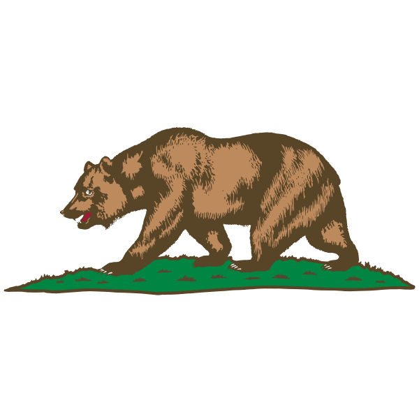 Bear walking on grass vector image