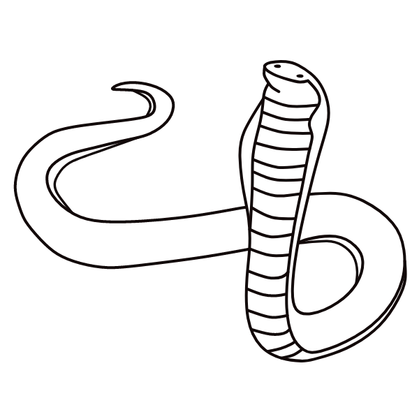 Cobra 6