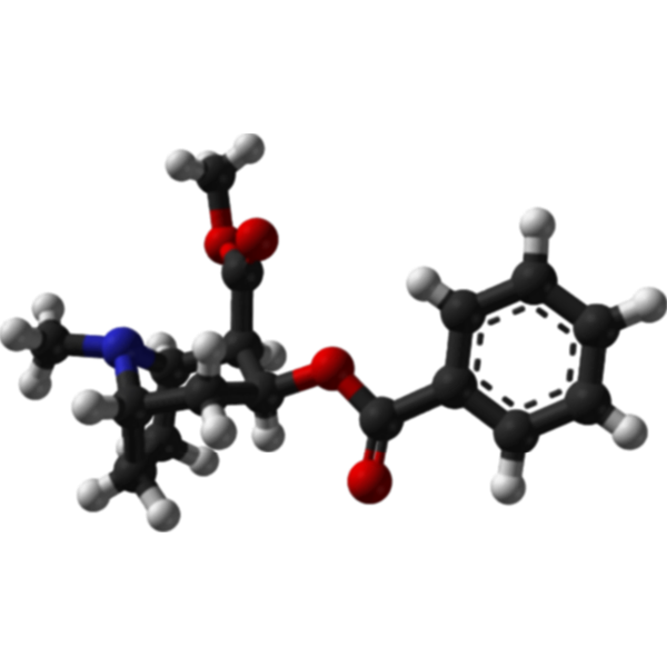 Chemical molecule cocaine