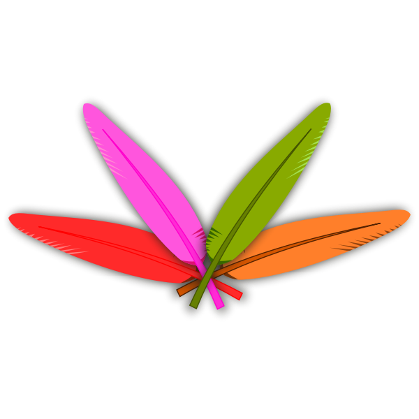 Vector clip art of four crossed color feathers