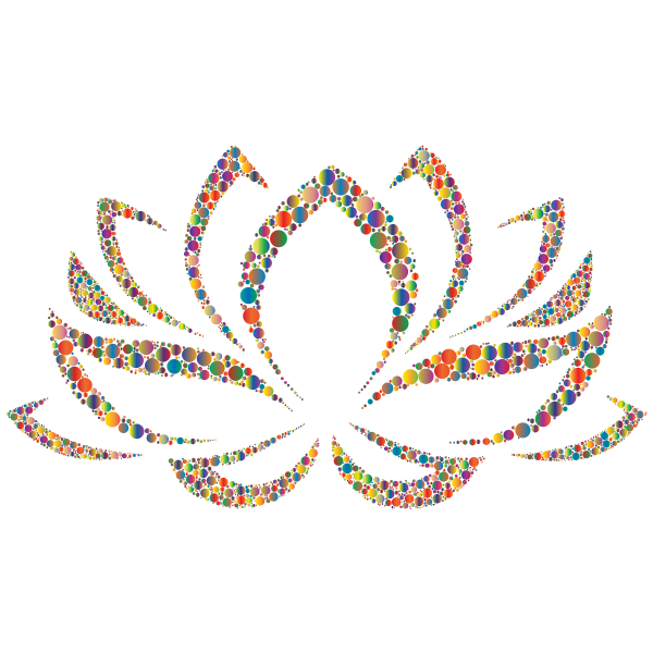 Colorful Lotus Flower Circles 3