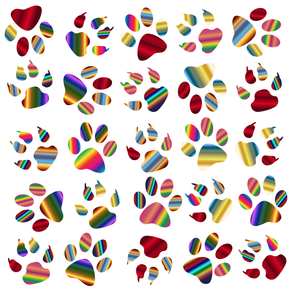 Colorful Paw Prints Pattern Background Reinvigorated 5 No Black background