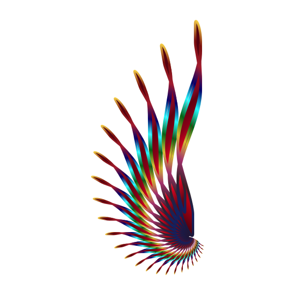 Colorful feather