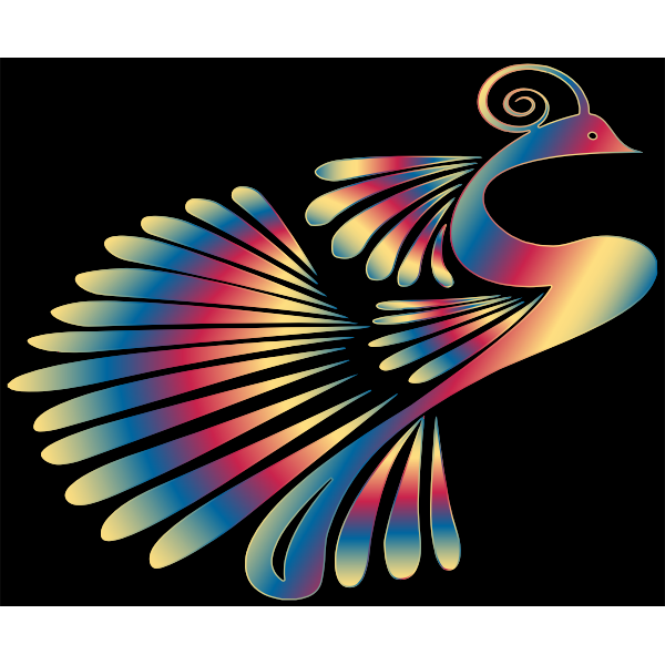 Colorful Stylized Peacock 13