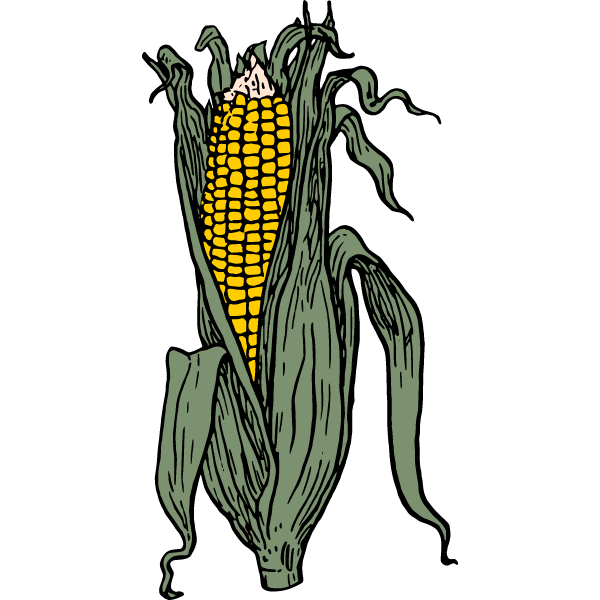 Corncob III