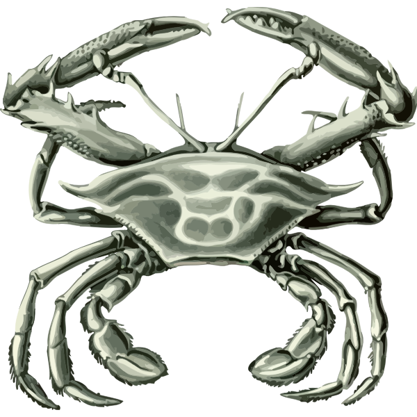 Crab