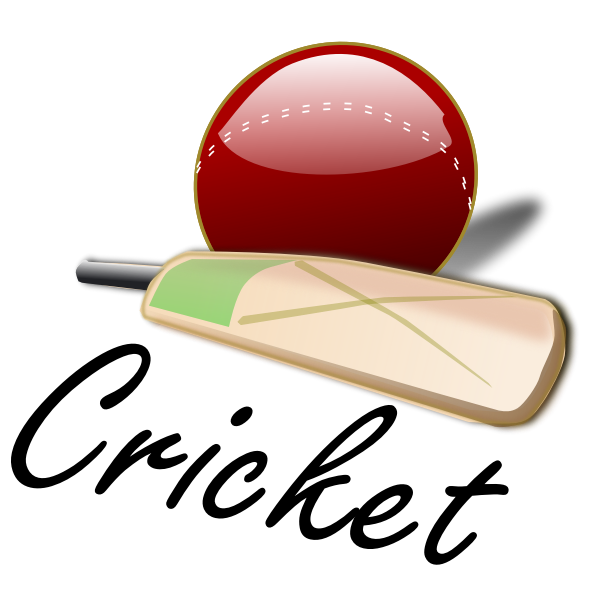 Cricket bat and ball vector image